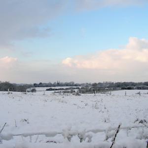 CLOPTON 18 Dec 2009 © DHughes