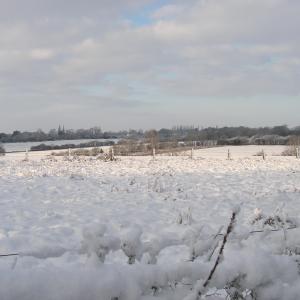 Clopton fields 18 Dec 2009 ©DHughes