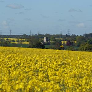 Clopton Church May 2012 © P Raffell