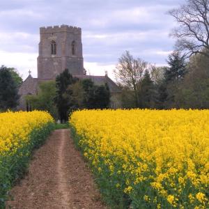 Path to church April 2017© P Moon