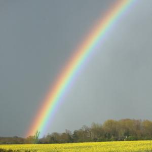 Storm brewing April 2012 © P Moon