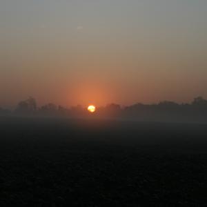 Sunset © 