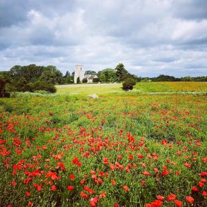 Poppy field and church © J Stannard