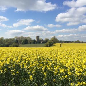 clopton church © P. Raffell
