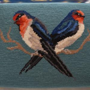 swallows